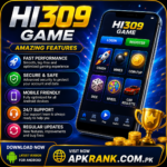 HI309 Game