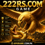 222RS.COM Game
